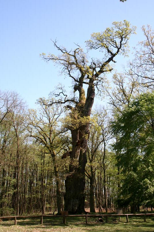 Killikus® Fotographie Killikus® Fotographie